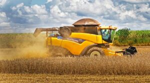Leia mais sobre o artigo Agronegócio brasileiro perde espaço nas exportações aos EUA com tarifas