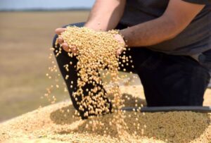 Leia mais sobre o artigo Tarifaço deve atingir 36,5% das exportações do agro para os EUA, diz CNA