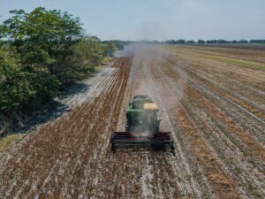 Leia mais sobre o artigo Como o agro pode crescer em cenário de juros altos e volatilidade
