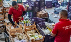 Leia mais sobre o artigo Governo anuncia crédito de R$ 97,3 bi para agricultura familiar