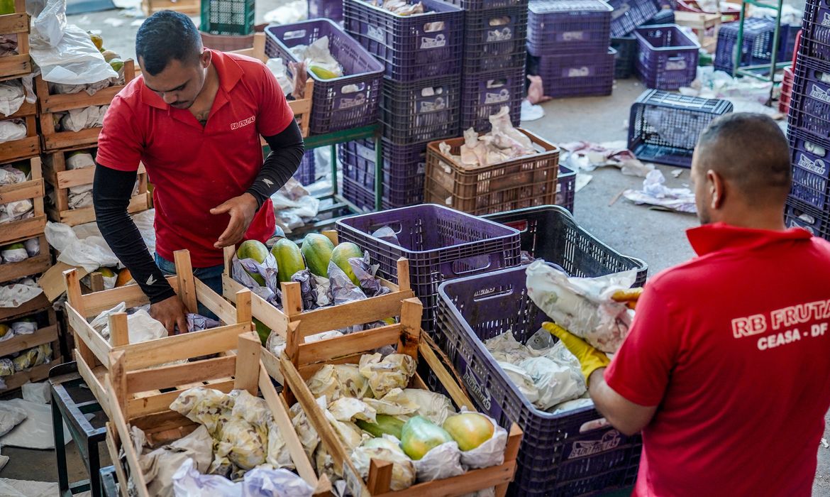 No momento, você está visualizando Governo anuncia crédito de R$ 97,3 bi para agricultura familiar