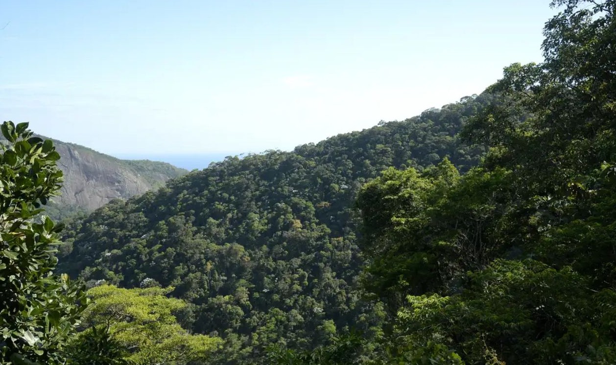 No momento, você está visualizando Plano mobiliza R$ 500 bi para financiamento sustentável no Brasil