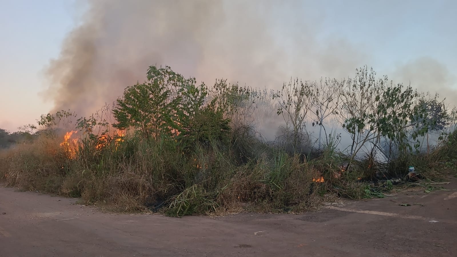 No momento, você está visualizando Rondonópolis alerta sobre prejuízos à sociedade pelas queimadas