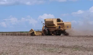 Leia mais sobre o artigo Tarifaço leva agro a reforçar estratégia em Washington