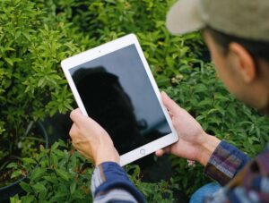 Leia mais sobre o artigo Tecnologia leva inteligência artificial à pós-colheita e amplia eficiência no agro