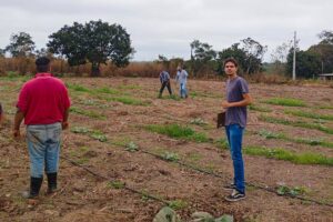 Leia mais sobre o artigo Visita técnica orienta produtores rurais e fortalecem o cultivo de hortaliças em Várzea Grande