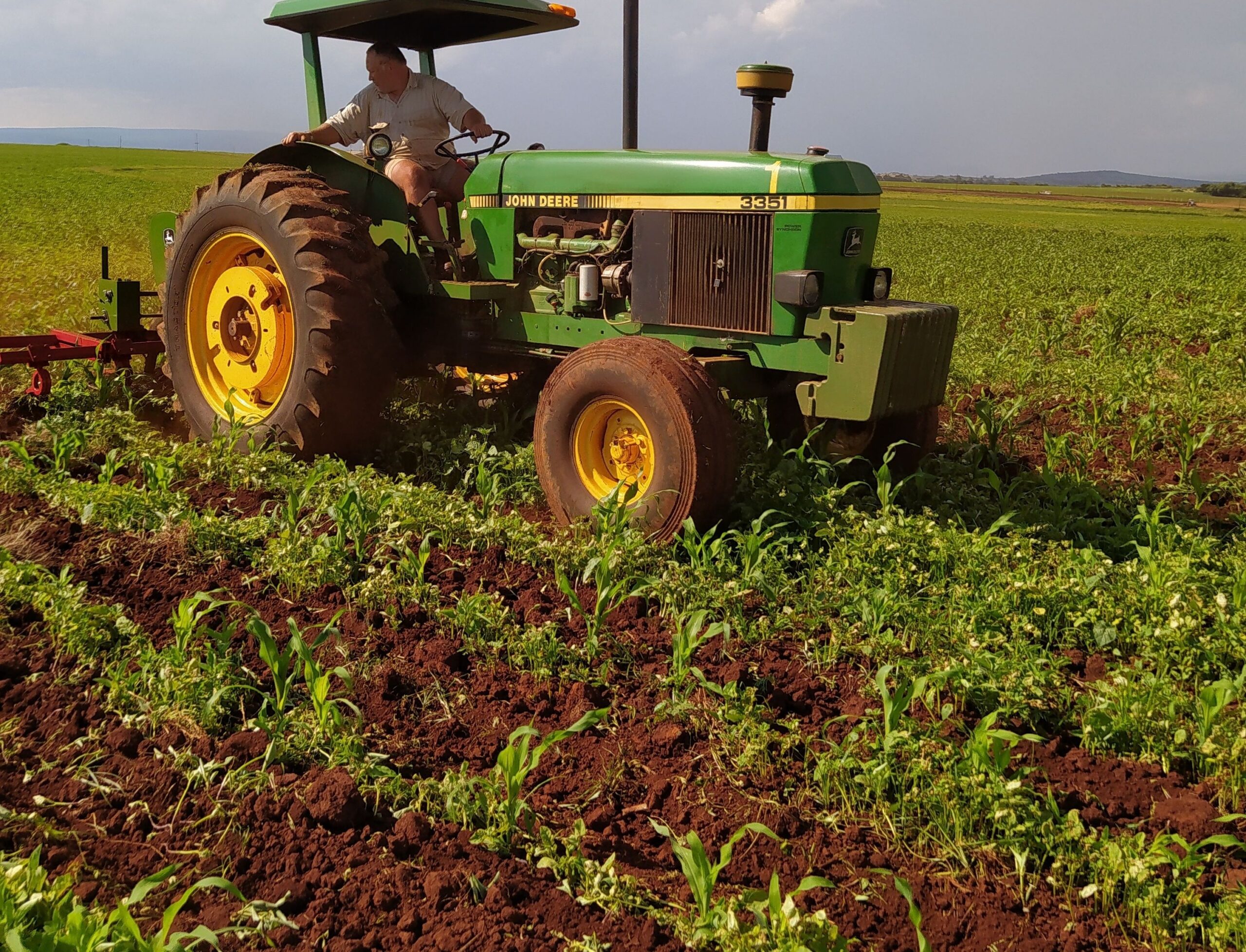 No momento, você está visualizando Abramilho celebra expansão da produção do sorgo no Brasil