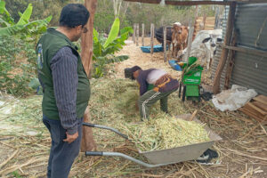 Leia mais sobre o artigo Agricultores familiares aprendem técnicas de produção de silagem para garantir alimentação do rebanho durante a seca