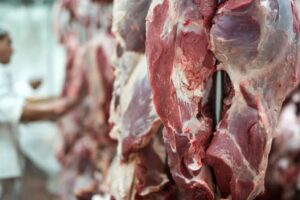 Leia mais sobre o artigo Carne bovina de MT chega a 88 países e gera 2,4 bilhões de dólares em exportações