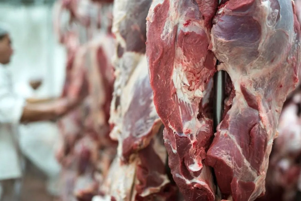 No momento, você está visualizando Carne bovina de MT chega a 88 países e gera 2,4 bilhões de dólares em exportações