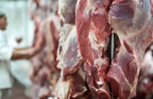 Leia mais sobre o artigo Mais de 90% dos frigoríficos auditados em MT cumprem TAC da Carne, afirma MPF