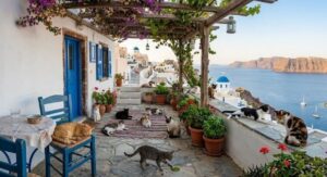 Leia mais sobre o artigo Projeto oferece casa e comida grátis para quem cuidar de gatos