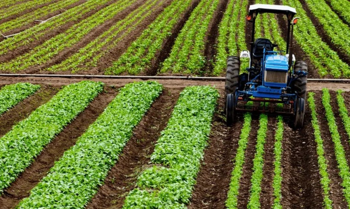 No momento, você está visualizando Suno Fazendas capta R$ 51,8 milhões para aquisição de propriedades em MT