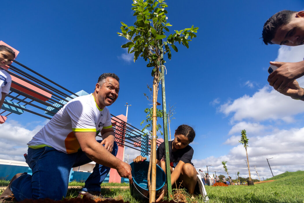 No momento, você está visualizando Prefeitura de Rondonópolis celebra Dia da Árvore com avanços e conquistas na arborização urbana