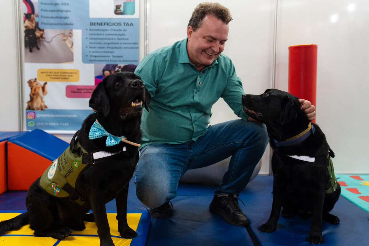 No momento, você está visualizando Max Russi propõe criação de censo para mapear população de cães e gatos em MT
