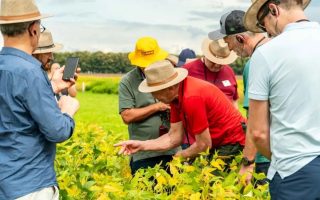 agricultores-alemanha-visitaram-ctecno-parecis-mt
