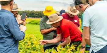 agricultores-alemanha-visitaram-ctecno-parecis-mt