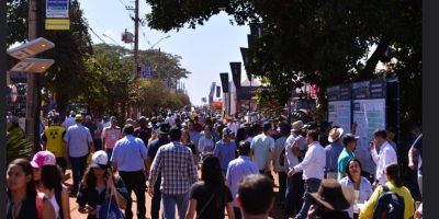 Agricultura familiar ganha destaque na Agrishow 2026