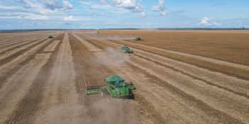 Agro do Brasil pode estabelecer relações melhores com os EUA