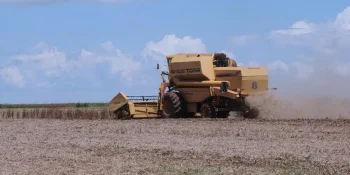 Agronegócio comemora aprovação de lei para safristas