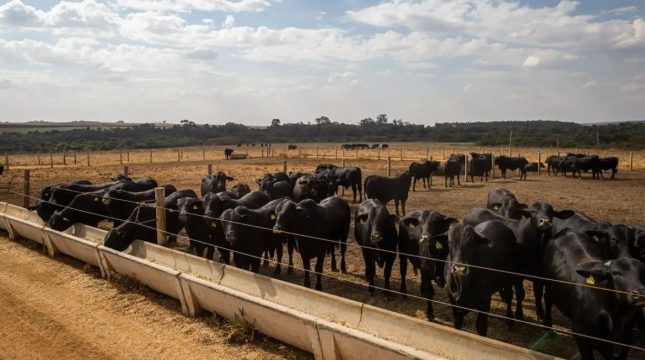 atividade-economica-brasileira-apresentou-crescimento-2025