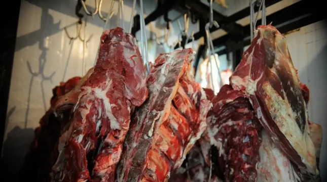 Brasil terá 42,5% da cota de carne bovina no acordo Mercosul–UE