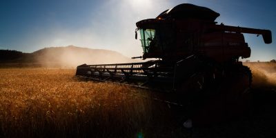 Crédito público perde espaço e muda o rumo do agronegócio