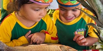 Datas comemorativas trazem identidade escolas de Várzea Grande