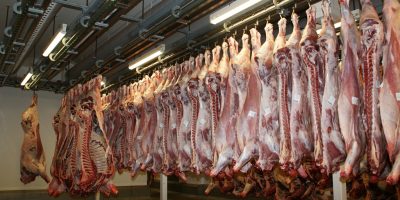 Demanda dos EUA abre espaço para carne bovina brasileira