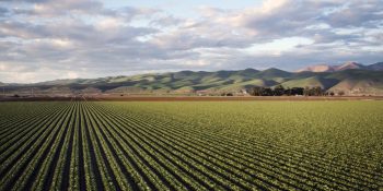 desempenho-agro-economia-brasil-cresceu-2025