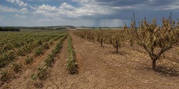 el-nino-preocupa-agronegocio