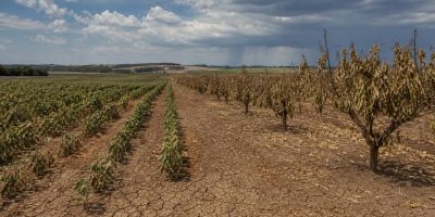 el-nino-preocupa-agronegocio