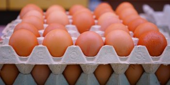 Excesso de oferta mantém pressão sobre preços dos ovos