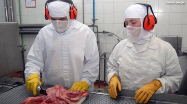 Exportações brasileiras crescem 11,8% de janeiro até julho