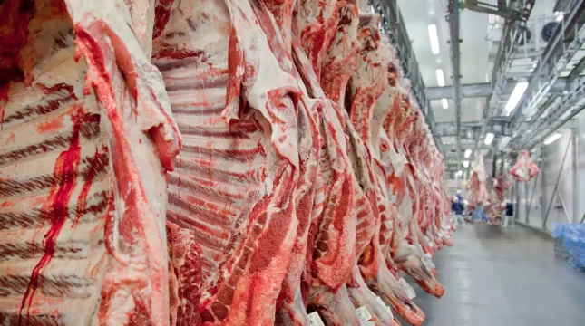 Exportações de carne bovina crescem 37,9% em janeiro