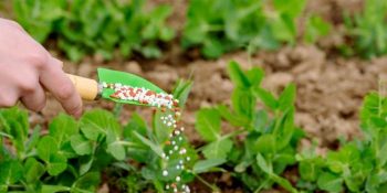 Fertilizantes de baixo carbono ganham competitividade no Brasil