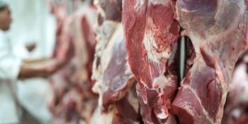 frigorificos-auditados-mt-cumprem-tac-carne