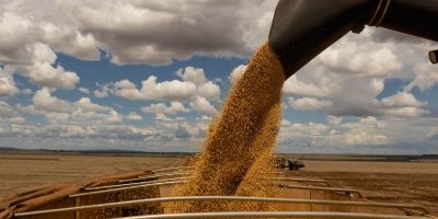 graos-fibras-devem-atingir-safra-recorde