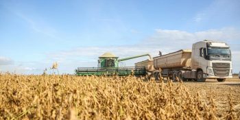 Integração produtiva ganha peso no agronegócio global