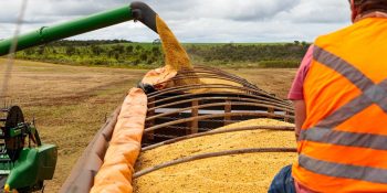 Mato Grosso fecha 2025 como o 4º maior exportador brasileiro