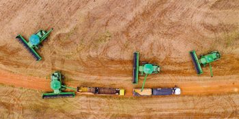 Mato Grosso consolida presença internacional em novos mercados