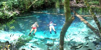 Mato Grosso está entre os principais destinos naturais do Brasil