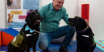 Max propõe censo para mapear população de cães e gatos em MT