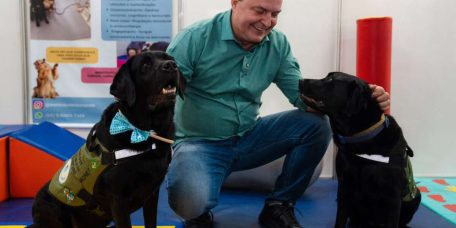 Max propõe censo para mapear população de cães e gatos em MT