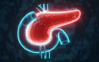 medicamentos-eliminam-cancer-pancreas-animais