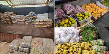 paa-destina-alimentos-cop