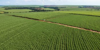 Parceria com Google traz eficiência do Cadastro Ambiental Rural