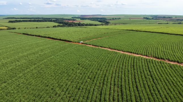 Parceria com Google traz eficiência do Cadastro Ambiental Rural