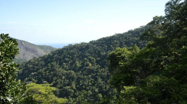 plano-transformacao-ecologica-atrai-capital-privado