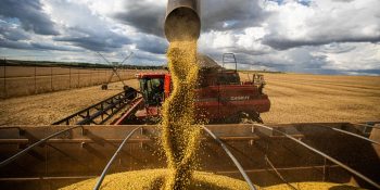 Plantio de soja no Brasil vai a quase 20% da área, ritmo recorde